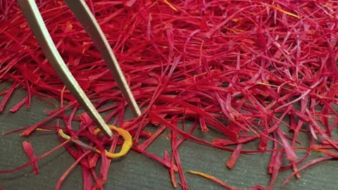 Persian saffron quality control Stock Footage 171234416