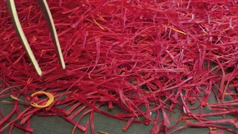 Persian saffron quality control Stock Footage 171234691