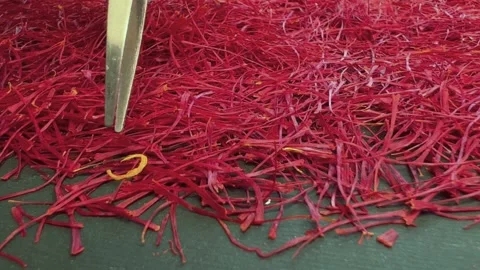 Persian saffron quality control Stock Footage 171234864