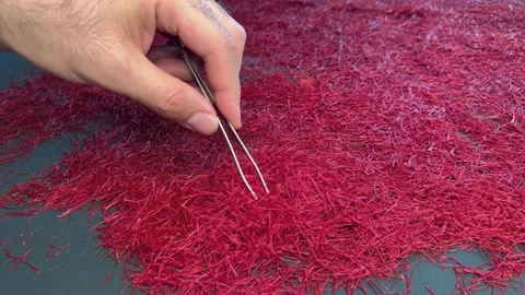 Persian saffron quality control process Stock Footage 171234874