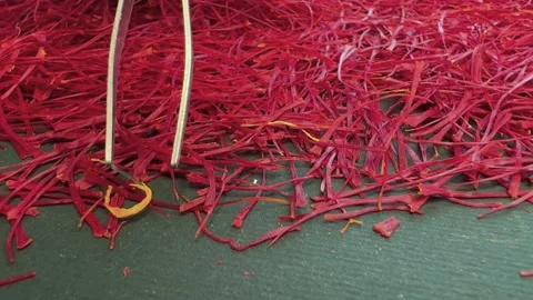 Persian saffron quality control process Stock Footage 171234926