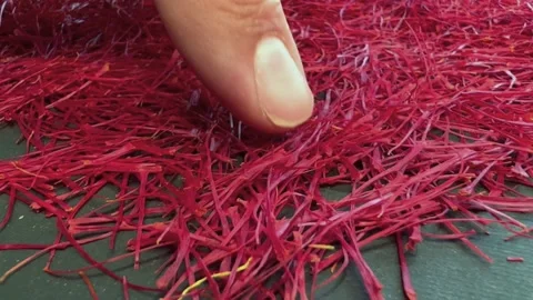 Persian saffron quality control process Stock Footage 171234956
