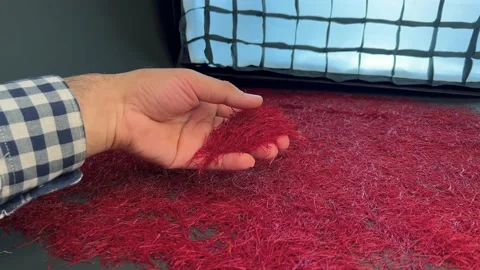 Persian saffron quality control process Stock Footage 171235022