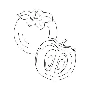Persimmon doodle Vector coloring book for kids Stock Illustration
