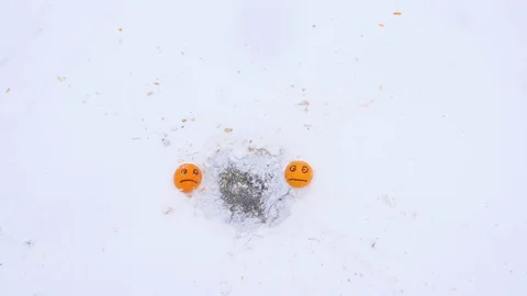 Persimmon explode between two oranges, three fruits lie on snow Stock Footage 84567595