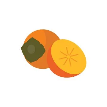 Persimmon. Flat vector, clipart illustration isolated on white background. Stock Illustration