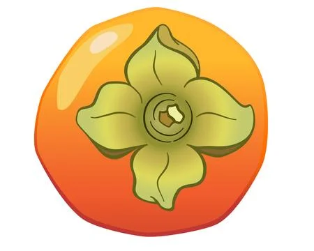 Persimmon with flower and stalk - vector full color picture with plant food. Stock Illustration