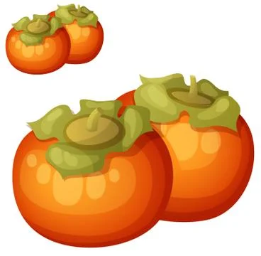 Persimmon fruit. Cartoon vector icon isolated Stock Illustration