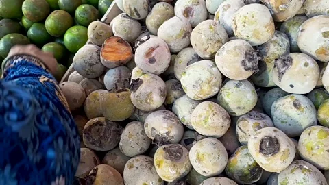 Persimmon fruit Stock Footage 310183447