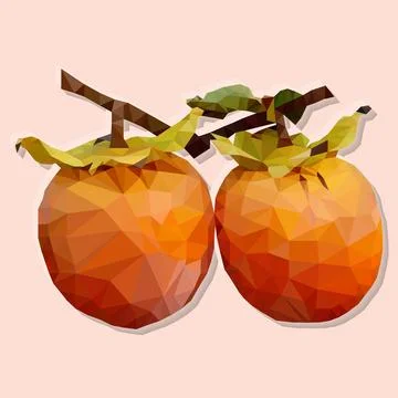 Persimmon fruit Stock Illustration