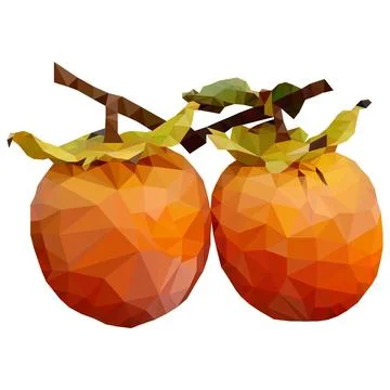 Persimmon fruit Stock Illustration
