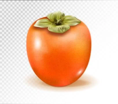 Persimmon fruit isolated on transparent background. Realistic quality vector. 3d Stock Illustration