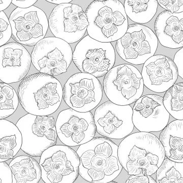 Persimmon fruit pattern. Seamless nature wallpaper. Fresh organic healthy food Stock-Illustration