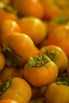 Persimmon fruit Stock Photos
