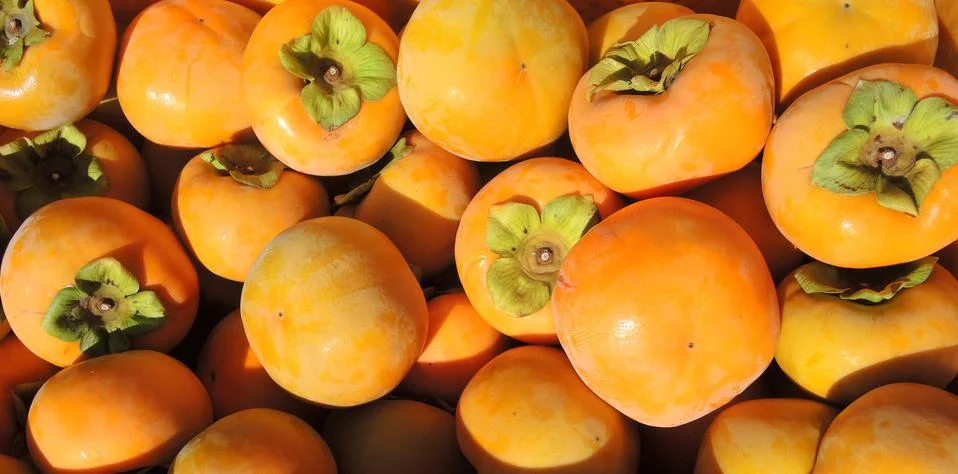 Persimmon fruit Stock Photos