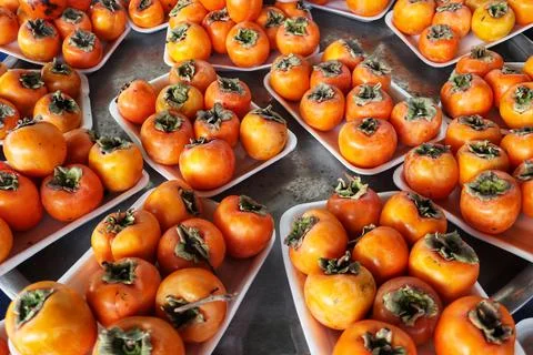 Persimmon fruit. Stock Photos