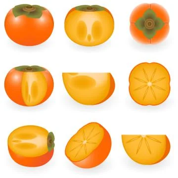Persimmon Stock Illustration