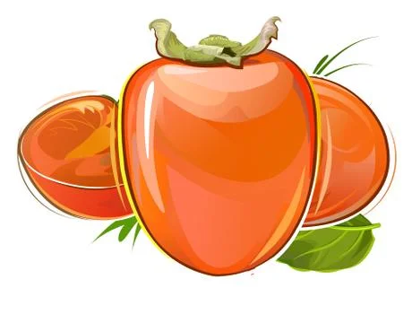 Persimmon Stock Illustration