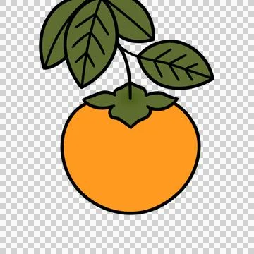 Persimmon Stock Illustration