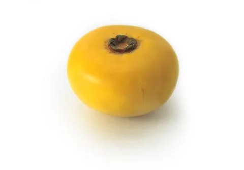 Persimmon isolated on white Stock Photos