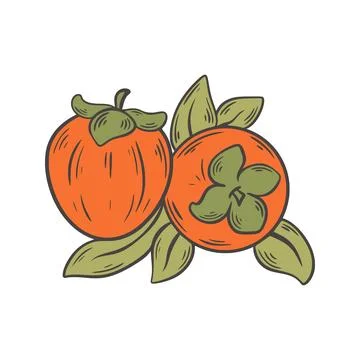 Persimmon with leaves composition, vector graphic Ilustração Stock