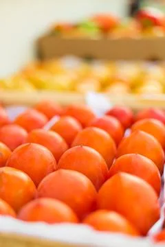 Persimmon at the market Foto stock