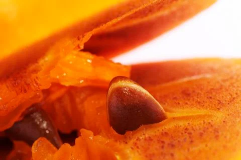 Persimmon Stock Photos