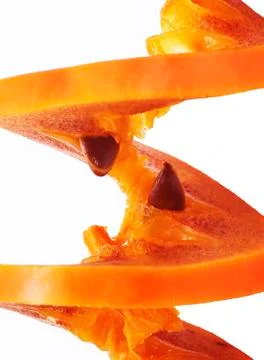 Persimmon Foto stock