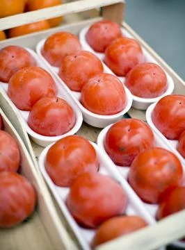 Persimmon Stock Photos