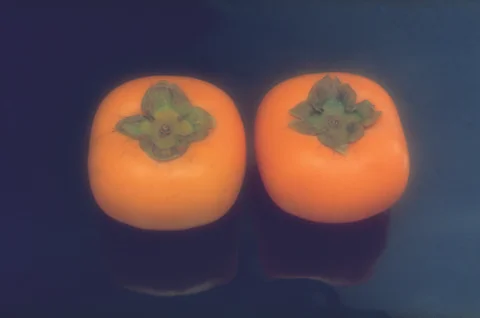 Persimmon Stock Photos