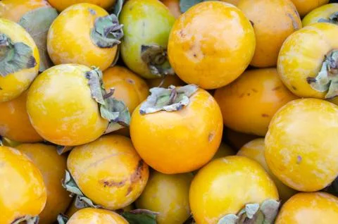 The persimmon Stock Photos