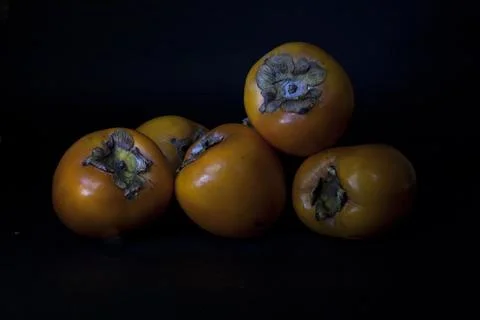 Persimmon Photos