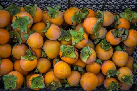 Persimmon Stock Photos