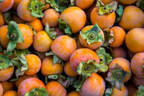 Persimmon Stock Photos