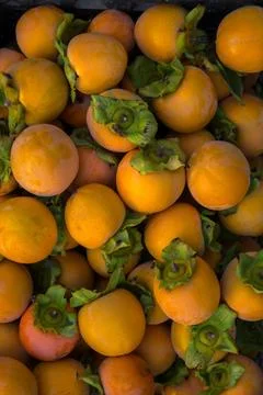 Persimmon Stock Photos