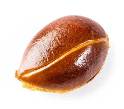 Persimmon seed Stock Photos