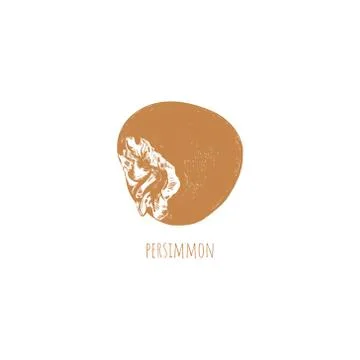 Persimmon sketch hand drawing Stock Illustration