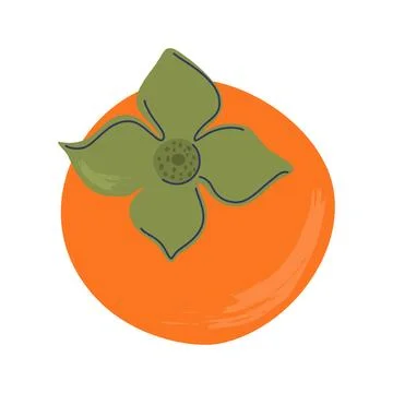 Persimmon. Sweet exotic fruit. Stock Illustration
