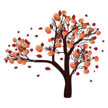Persimmon tree illustration Stock Illustration