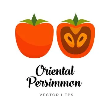 Persimmon vector editable illustration, Oriental brown type. Kaki drawn in fl イラスト素材
