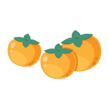 Persimmon vector illustration, persimmon flat icon, autumn fruit persimmon illus Stock Illustration