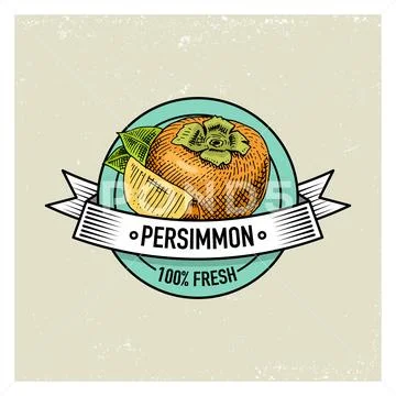 Persimmon Vintage, hand drawn fresh fruits background, summer plants, vegetarian Stock Illustration
