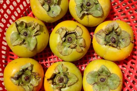 The persimmons in the basket Stock Photos