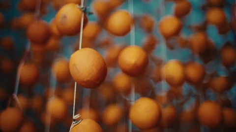 Persimmons hanging on strings drying for hoshigaki production. low angle shot Stock Footage 332122786