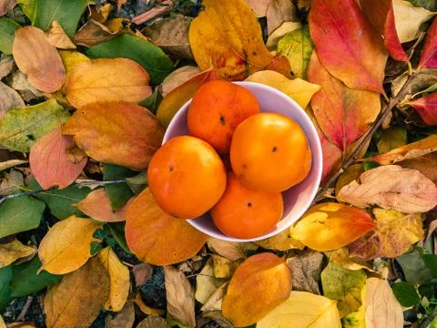Persimmons lie in a white cup. Stock Photos
