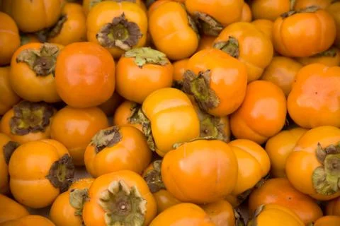 Persimmons Stock Photos
