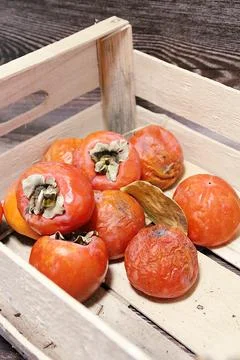 Persimmons Stock Photos