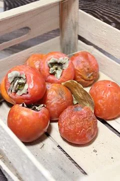 Persimmons Stock Photos