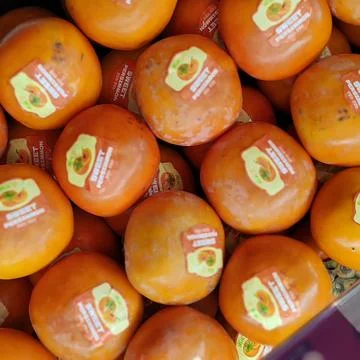Persimmons Stock Photos