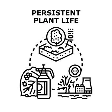Persistent plant life concept cycle vector illustration Stock Illustration